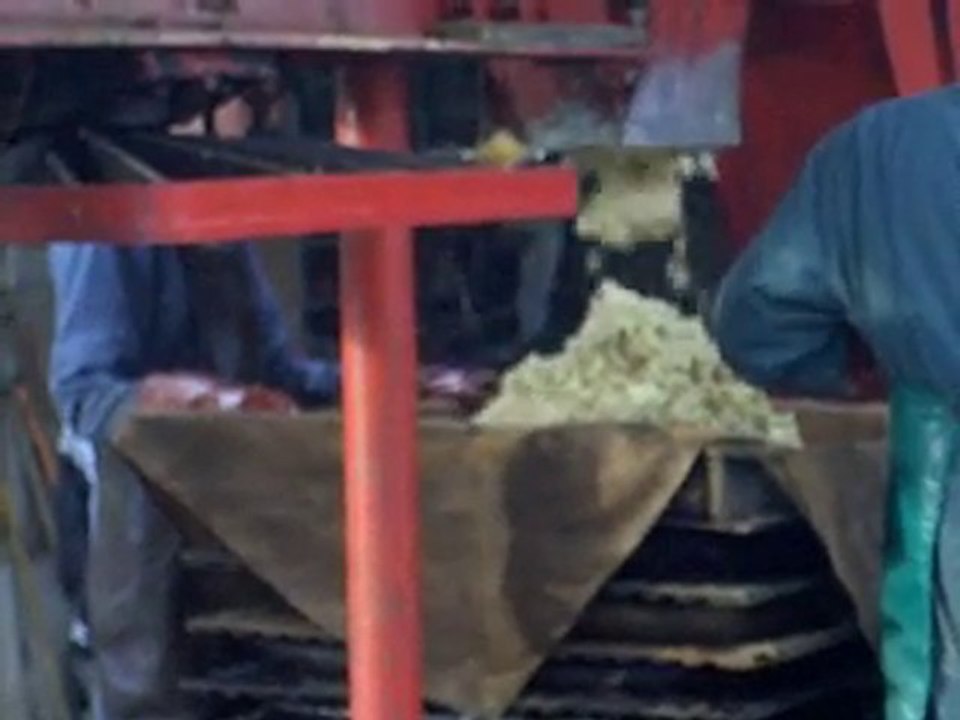 pressage des pommes 2