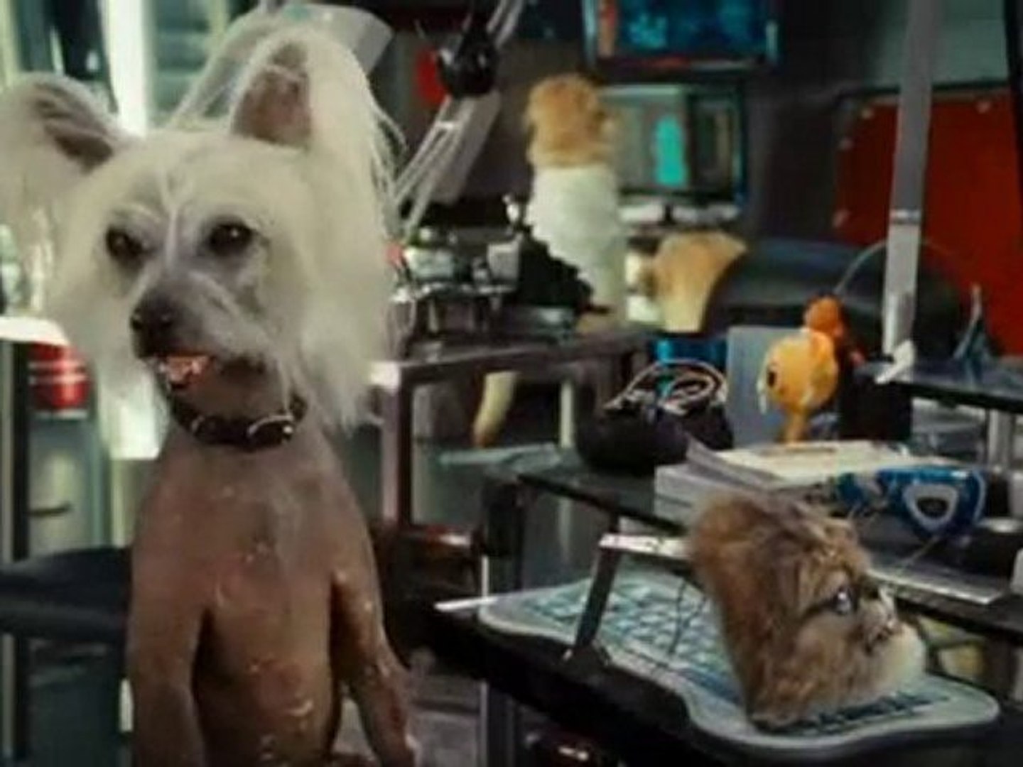 Comme Chiens Et Chats 2 3 Extraits Du Film Vf Video Dailymotion