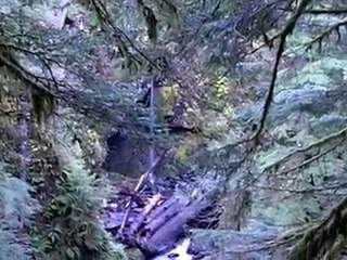 A Sol Duc Trek Through the Olympic National Park