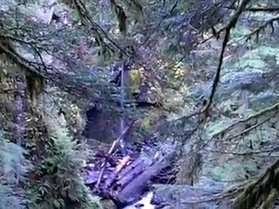 A Sol Duc Trek Through the Olympic National Park