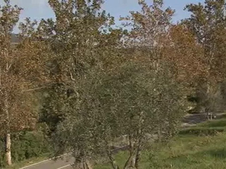 Car-News Magazine November 2010 - Deutsch