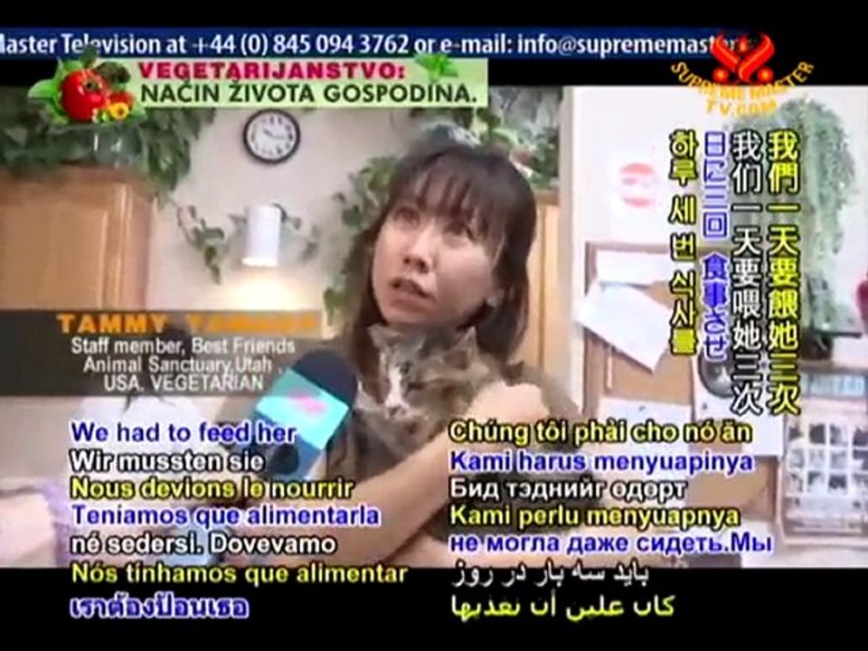 A Splendid Haven: Best Friends Animal Sanctuary - P2/2