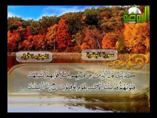 أول فيديو  لبث قناة الروضة تلاوة مباركة لمحمد حسان