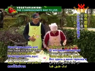 Taste of Paraguayan Tradition: Cassava Pastry