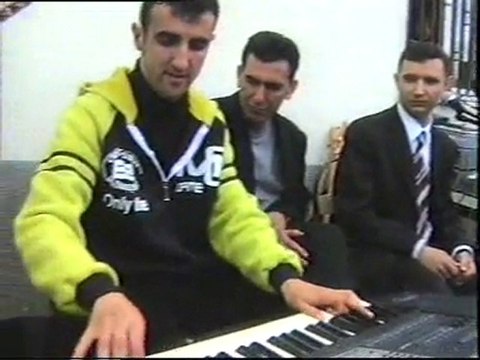 Yeşil Ördek Gibi (İsmail ERÇEK)