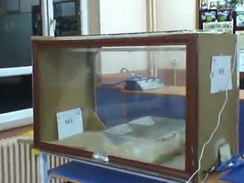 DEĞİŞİK MÜZİK TÜRLERİNİN SIÇANLARIN DOĞAL DAVRANIŞLARI