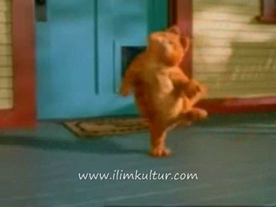 çiftetelli garfield