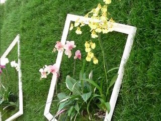 Vertikaldesign collection mur végétal, www.vertiakldesign.eu