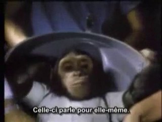 Honte Sur Les Terriens 5sur5 Earthlings ATTENTION VIOLENT