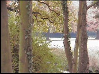 Schoppenwihr l'automne 2010