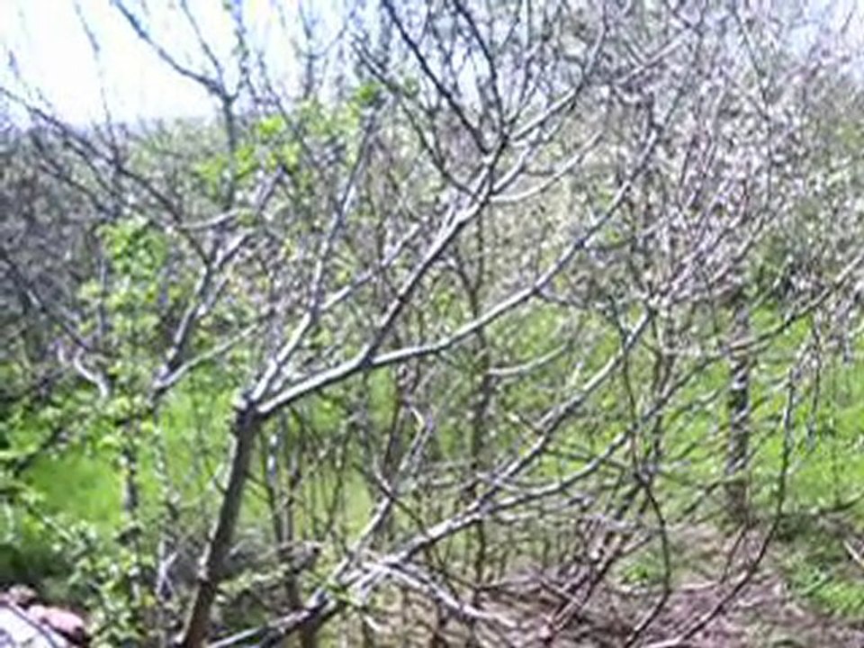 Visite de l'atelier de Patrick Montaigut / Artiste peintre