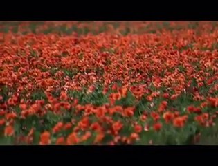 Ezginin günlüğü-Yan Kalbim yan