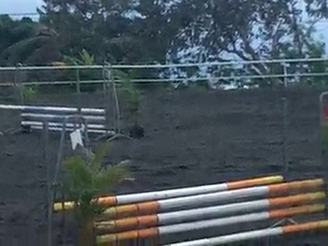 31.10.10-CSO club au CEM-prépa 70-SarahRebelle