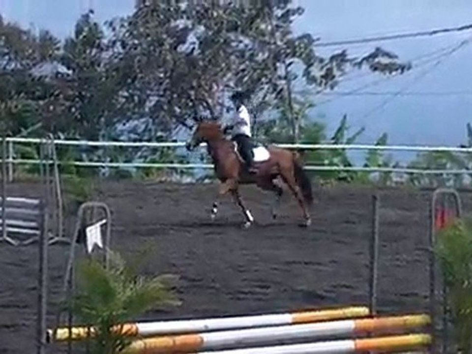 31.10.10-CSO club au CEM-prépa 70-SophieHoppy