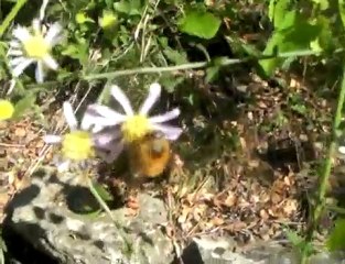 The Popular Podcast #302: Camping at McKinney Falls ...