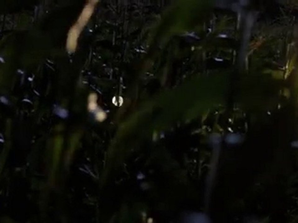 Criminal Minds - Episode 6.07 - Middle Man - Sneak Peek