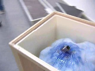 Calaisis TV : L'oeilleton Quand l'art se fait beau.épisode 1