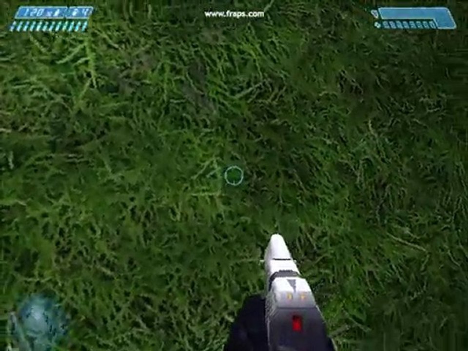 observation : touffes d'herbes en 2D sur halo 1