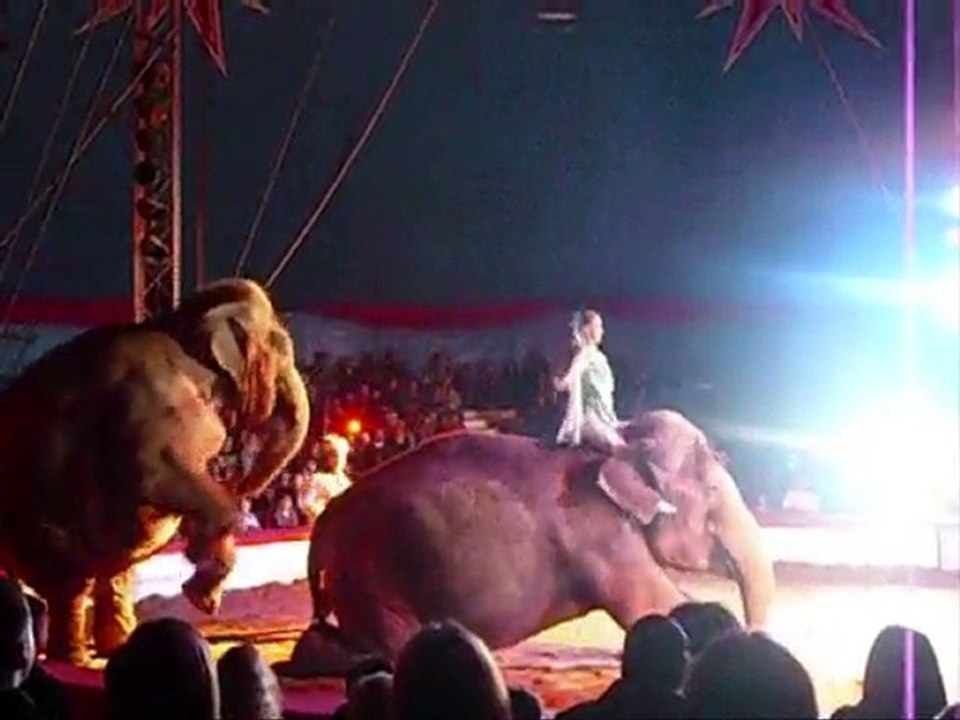 LES ELEPHANTS