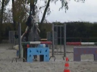 Rapsodie du Milon , Ecurie Faroudja