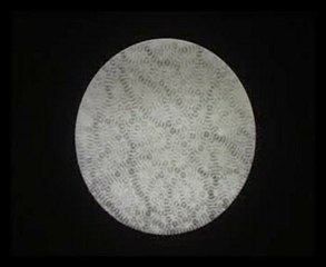 onde stationnaire   Kerourédan jean-christophe