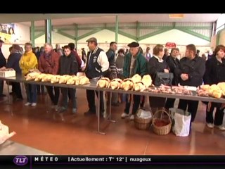 Marché au gras de Samatan (Gers)