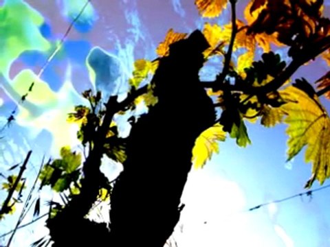 Les fauteurs de mots (Allain Leprest - Francesca Solleville - Véronique Sauger)