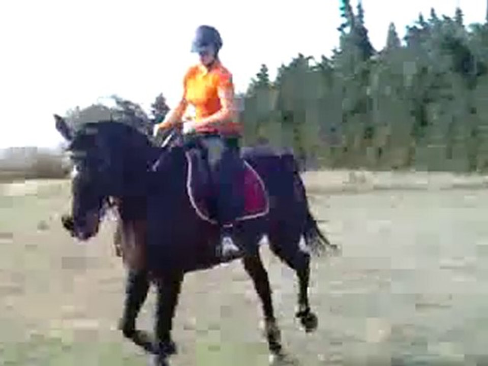 Océane du Bosc parcours de cross suite