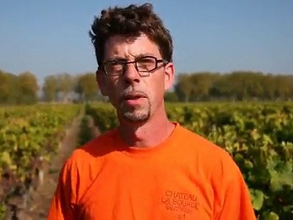 ITW Vigneron - Vendanges 2010 - Olivier Fargues