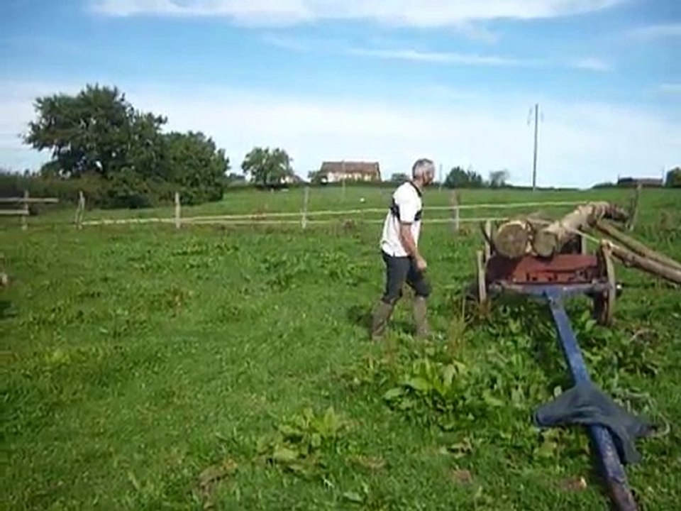 chargement de grumes avec une paire de vaches charollaises