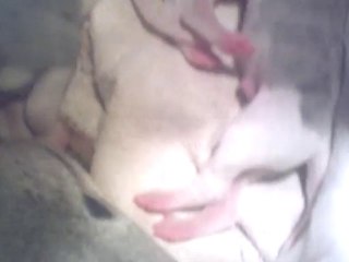 08032010 LES BB DE LIZOU ET NOUNOURS