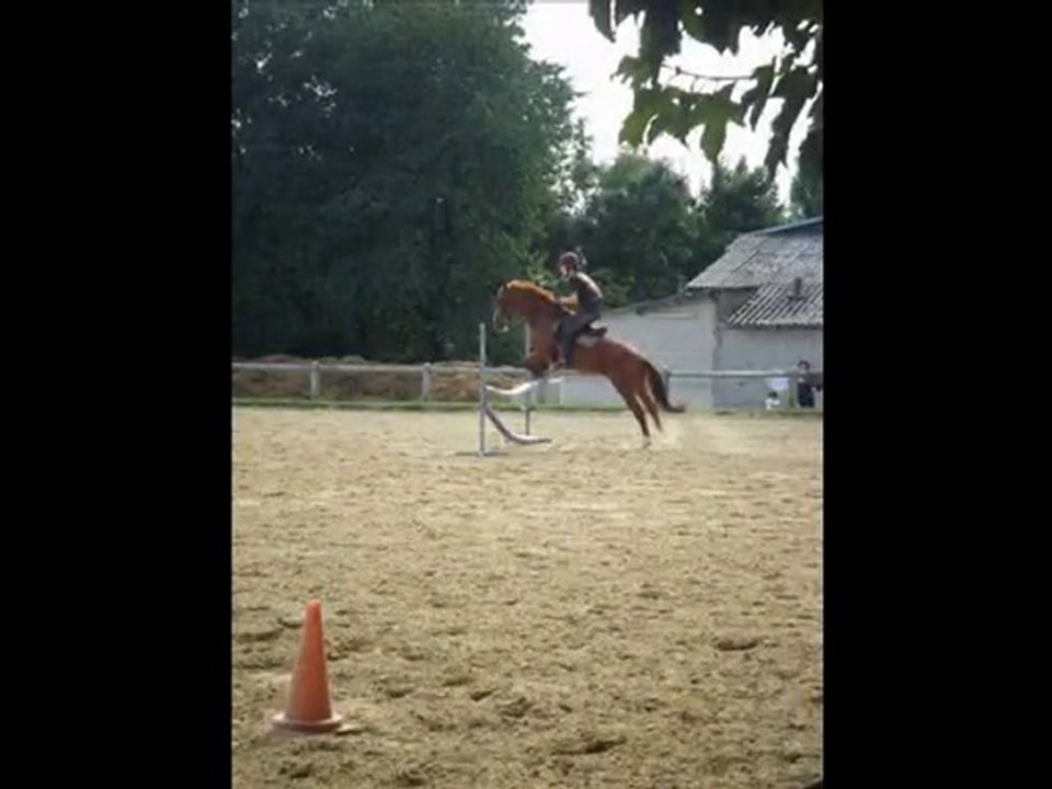 Crevette est de retour !