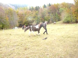 loulou travail à pied!