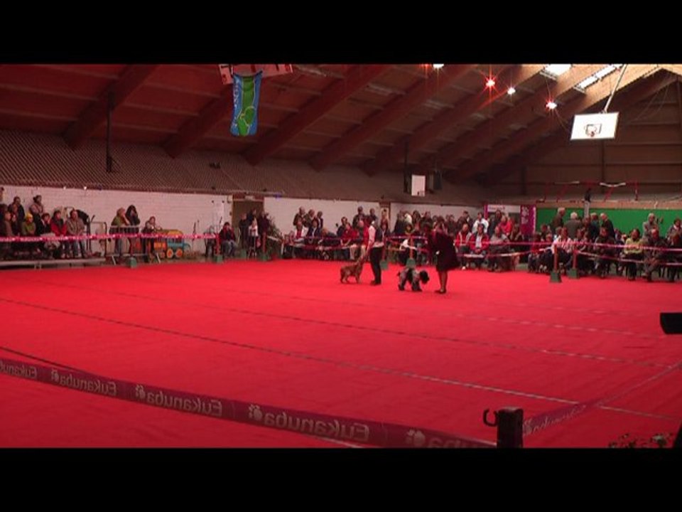 GPF obr2010 2e passage duo