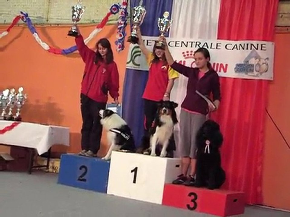 champ C  jeunes conducteurs