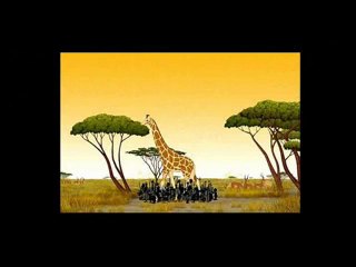 Programme Miss Paramount Kirikou