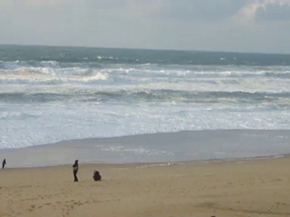 Plage Ondres(40)  01-11-2010