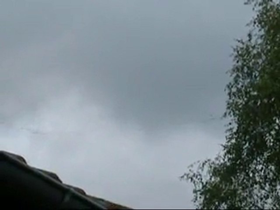 Vol de grues sur le marsan à Saint Lizier 09