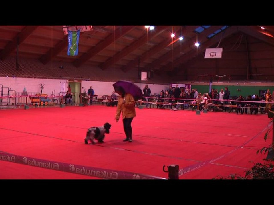 GPF obr2010 2e passage C'ven