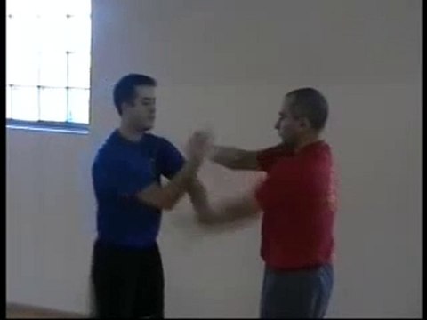 Sifu Yannis Teaching Chi Sao 2