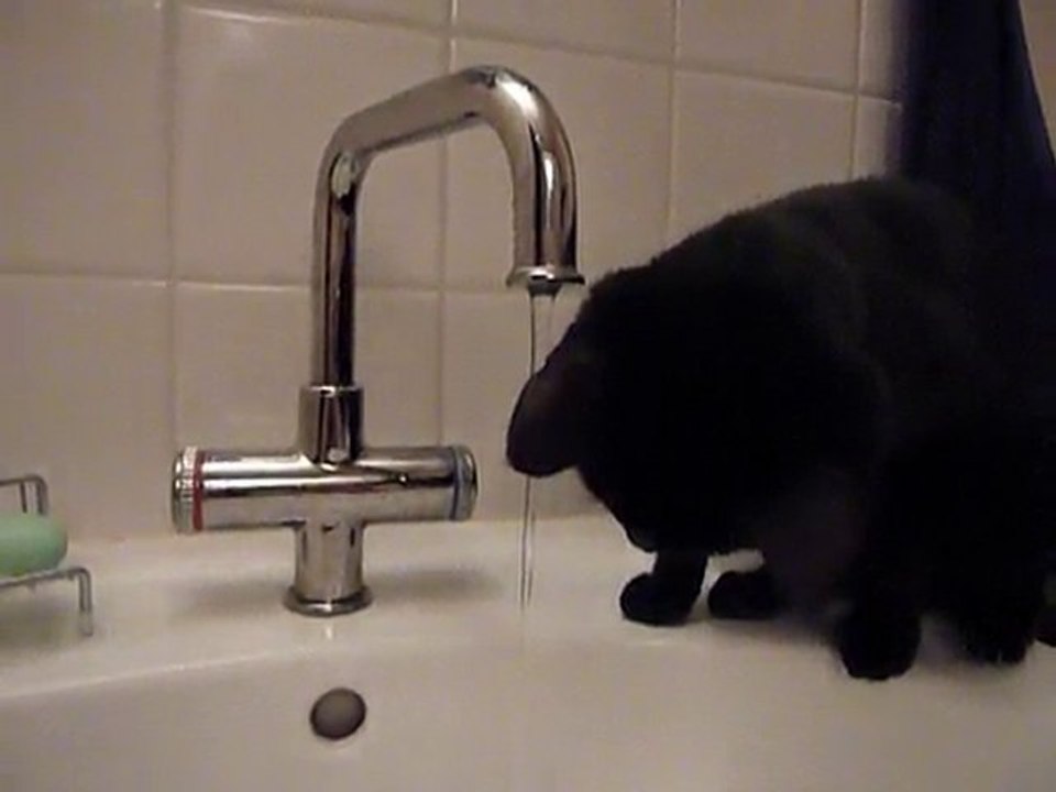 Que d'eau que d'eau