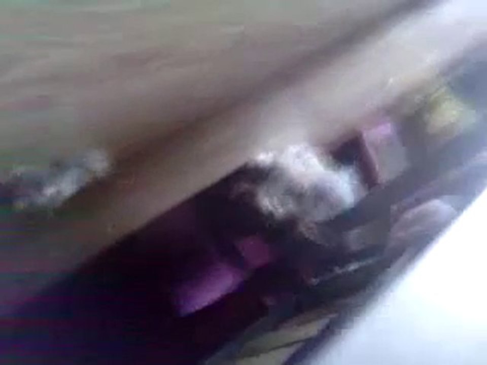 V020910_17.320001