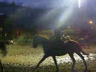 Dimanche 31 octobre 2010