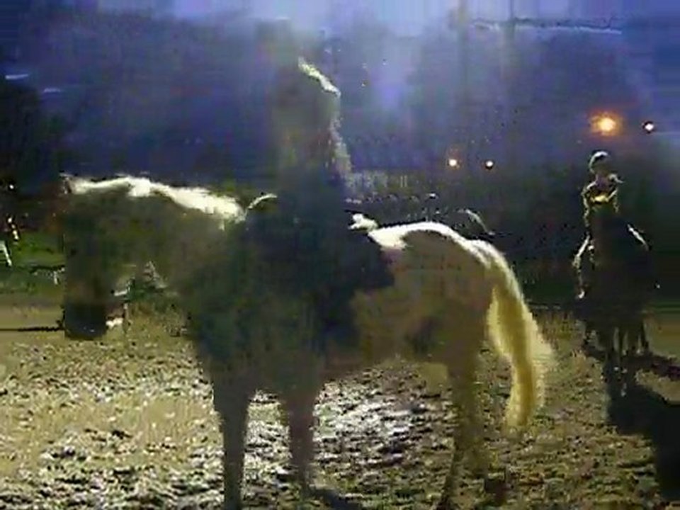 Dimanche 31 octobre 2010