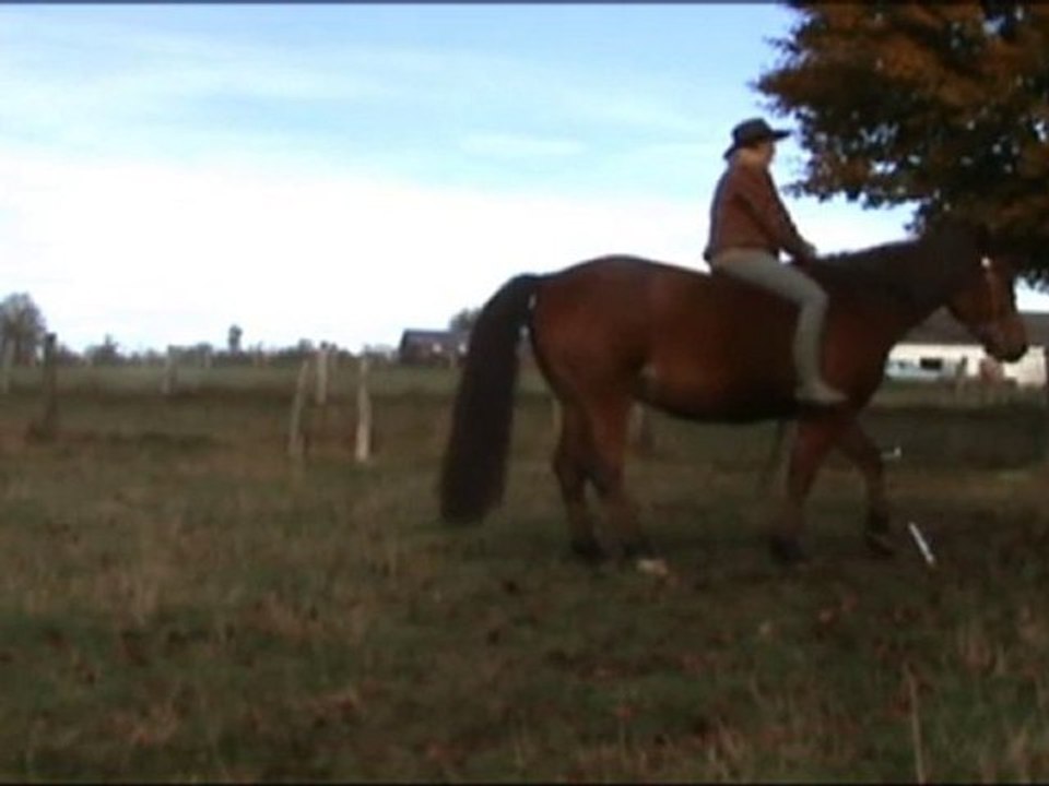 déplacements latéraux barrière à cru nov20102