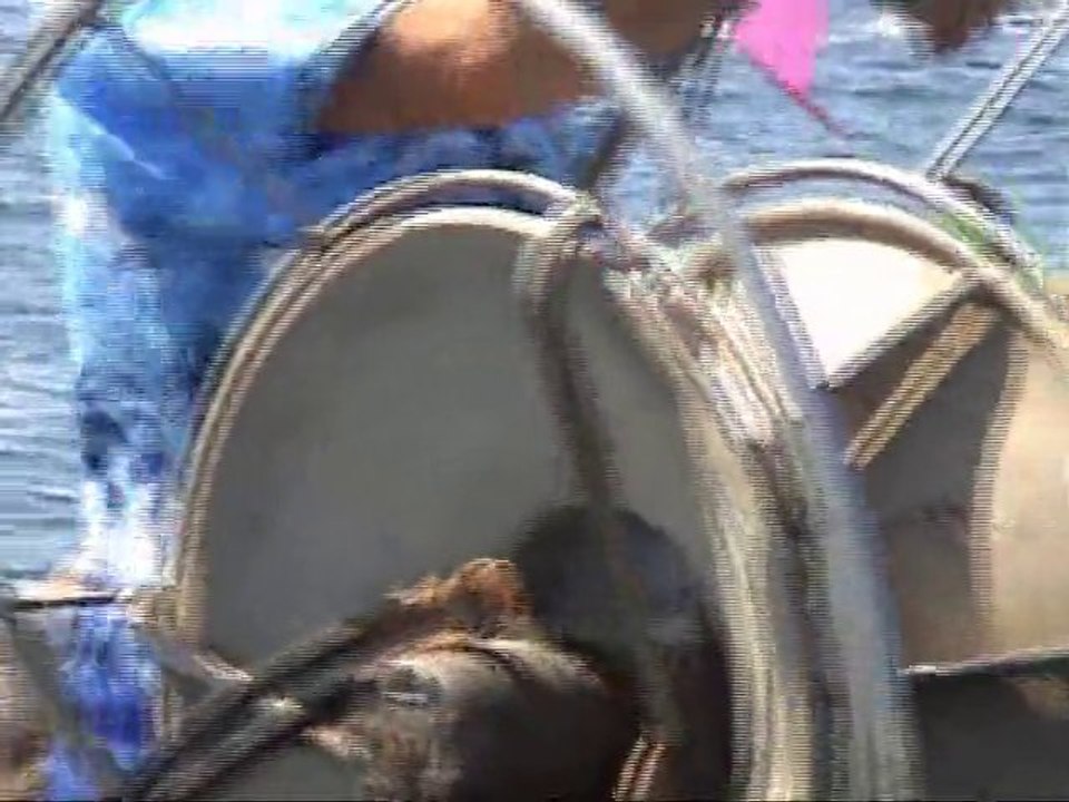 "La fête des pêcheurs "ou "Le Grand Pardon de Saint-Pierre"