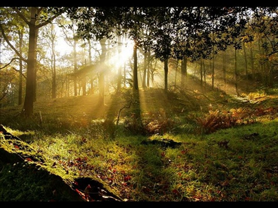 M.HAKAN DEVECİ - HANGİ BAĞIN BAĞBANISAN GÜLÜSEN..