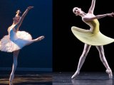 Ballet Bible - Ballet Jumps For Beginners