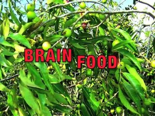 Natural Weight Loss, Detox & Energy Herbs consultations.