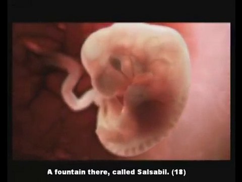 وَفِي أَنْفُسِكُمْ أَفَلا تُبْصِرُونَ